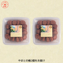 画像をギャラリービューアに読み込む, やまとの梅2個セット (600g)