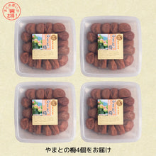 画像をギャラリービューアに読み込む, やまとの梅4個セット