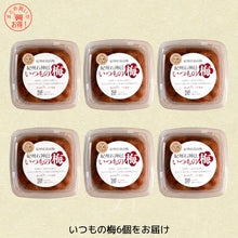 画像をギャラリービューアに読み込む, いつもの梅6個セット