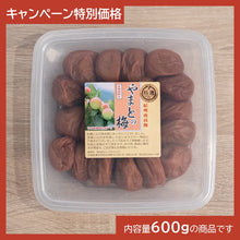 画像をギャラリービューアに読み込む, やまとの梅600g【特別価格】